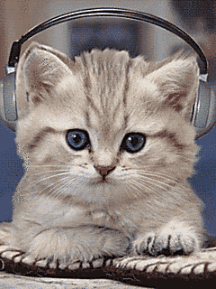 1234974374_6970fc126feb26e1b379505c71bae6a9.gif