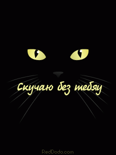 281960.gif