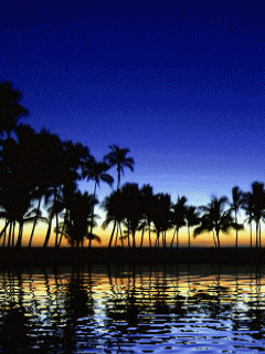 1235818741_nature-27.gif