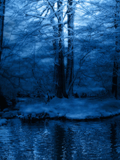 1235818801_nature-44.gif