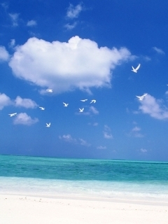 w09.jpg