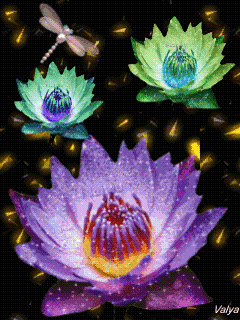 1258161039_505996349_945704.gif